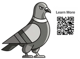 Plucky Pigeon